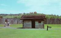 fortnecessity2_small.jpg