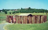 fortnecessity_small.jpg
